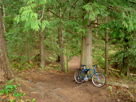 Pinnacle Peak Enumclaw a.k.a. Mt. Peak Mt. Pete